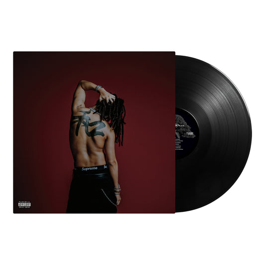 Wataru 12inch Vinyl