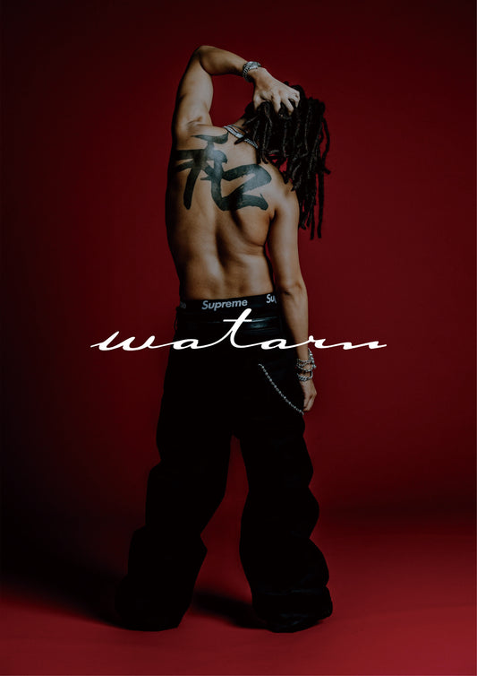 Wataru Poster